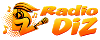 Logo RadioDiz, 100 x 40 px